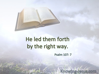 He led them forth by the right way.